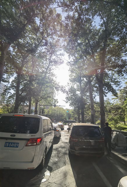 温暖的阳光